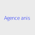 Agence immobiliere agence anis